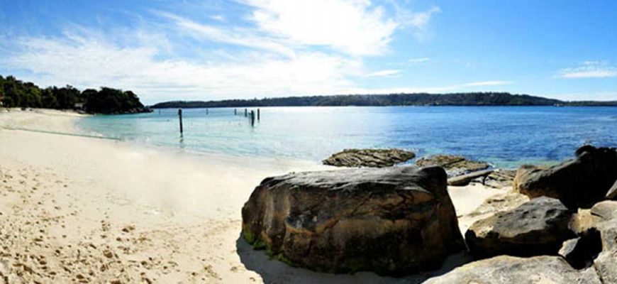 Bildergebnis für Dr Soofa: nilzeitung"