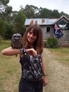 Frogmouth