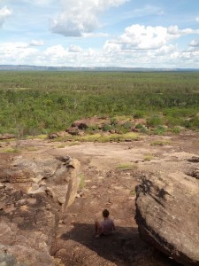 felsiges Kakadu