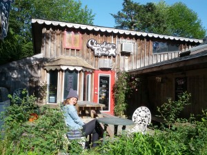 Schoki in Tofino