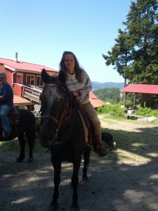 horse back ride