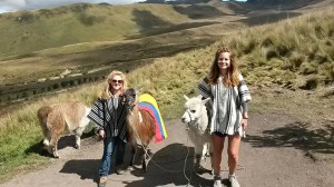 Chicas con Alpacas