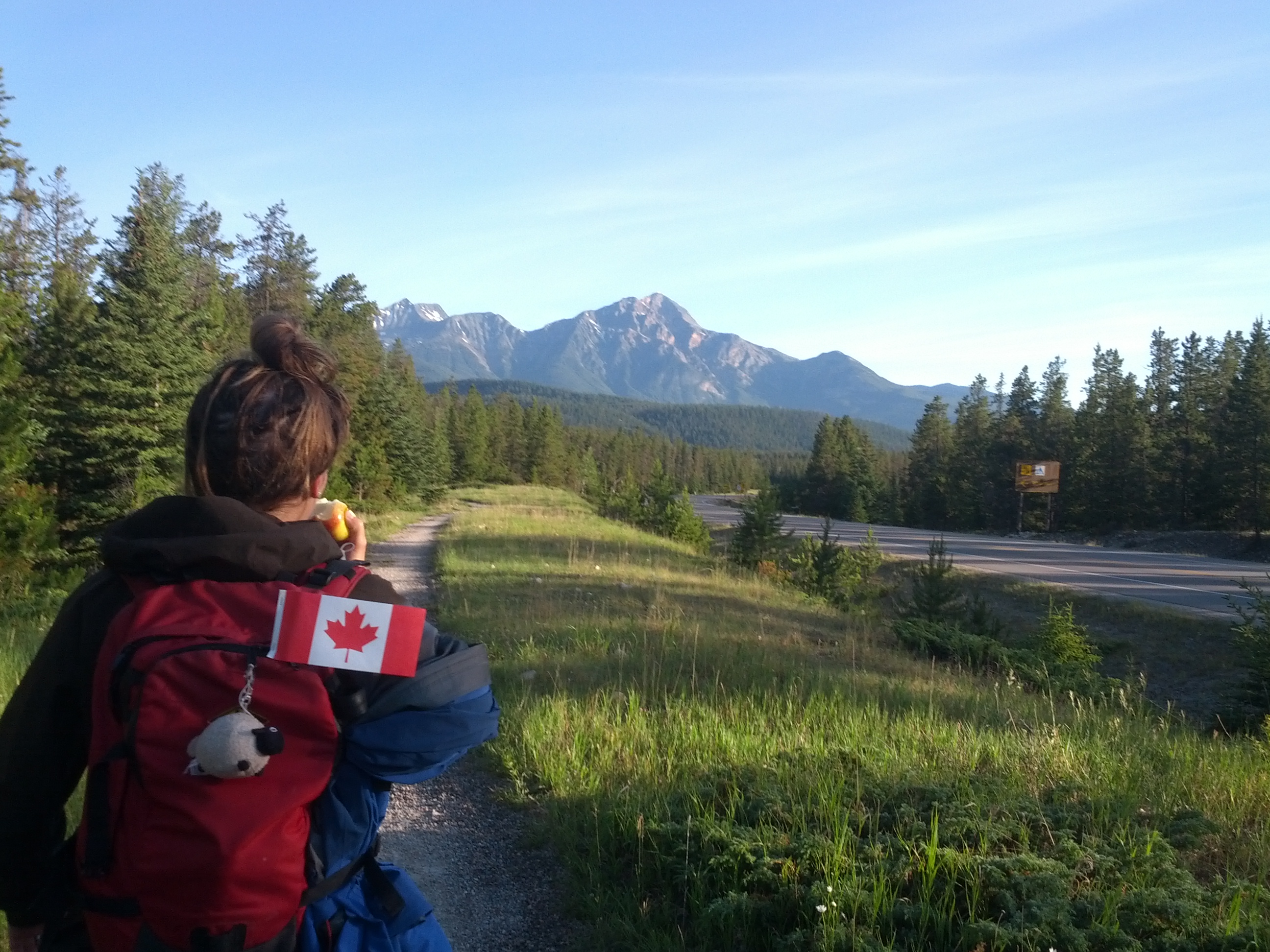 hiking jasper