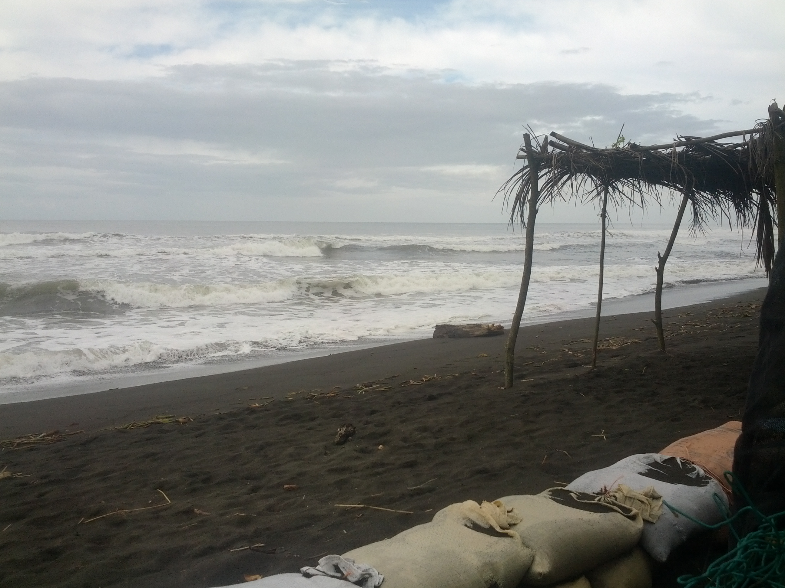 pacuare hatchery