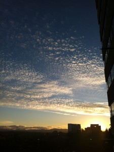 Aussicht von der Dachterrasse des Hostels