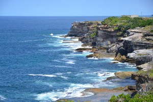 Der wunderschöne Coastal Walk von Bondi nach Coogee