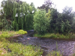 Märchenhafter Hunter River im gleichnamigen Hunter Valley