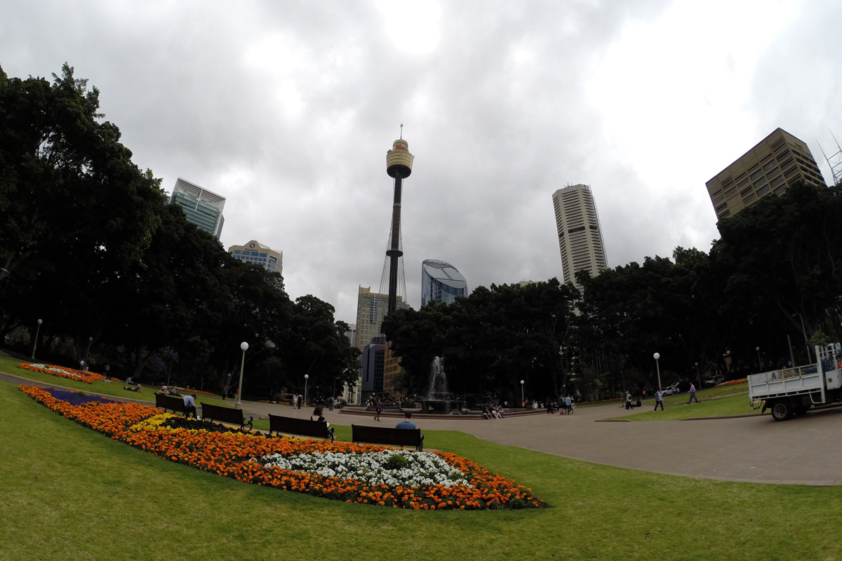 Hyde Park mit Sydney Tower im Hintergrund