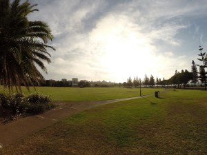 Nobbys Beach Reserve hinter dem Strand