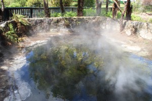 IMG_8822 - Kopie