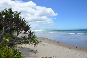 Der Strand vor dem Surfcamp: Arrawarra Beach