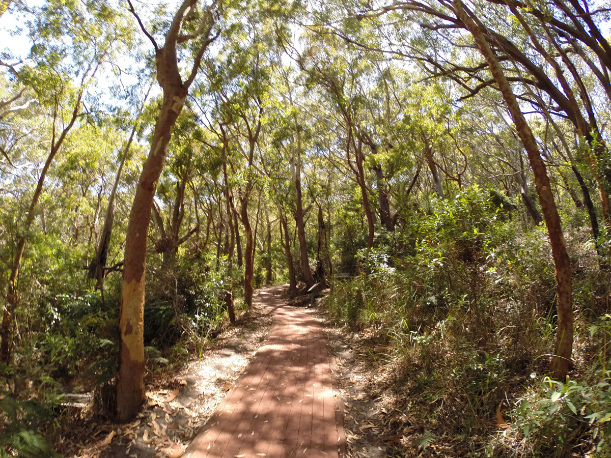 Aufstieg zum Tomaree Head