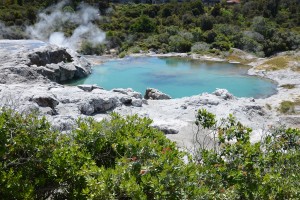 Der magische Blue Pool in Te Puia, Rotorua