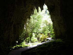 Raus aus der Höhle, rein in den Urwald