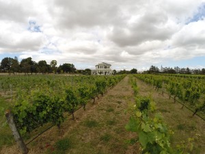 Fast wie in Frankreich: Martinboroughs Weingüter