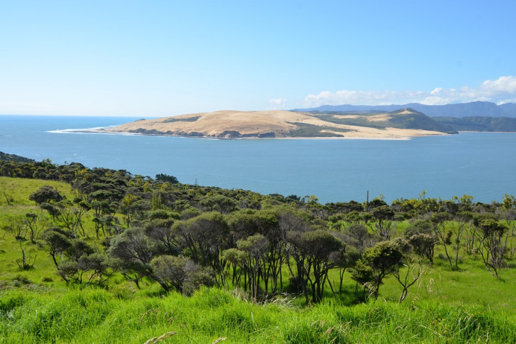 Tolle Aussicht auf den natürlichen Hafen von Hokianga