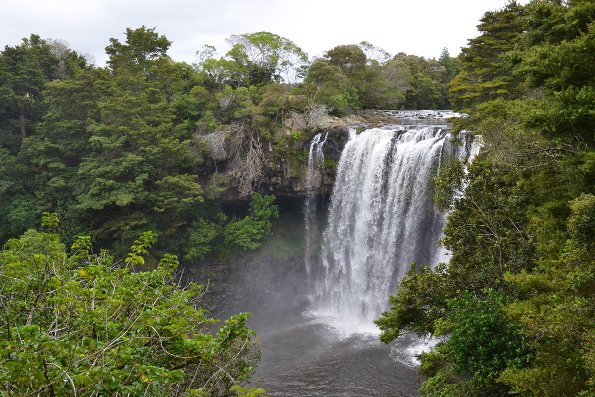 Die Rainbow Falls in Kerikeri