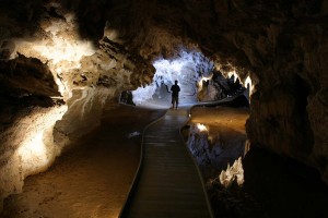 Kilometer lange Höhlen durchziehen die Region um Waitomo