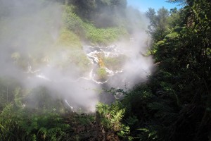 Kochend heißes Wasser entspringt aus der Erde