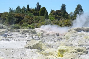 Whakarewarewa, Te Puia, Rotorua