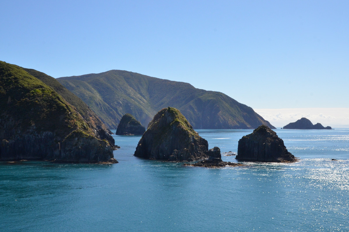 Die wunderschönen Buchten und Inseln der Marlborough Sounds