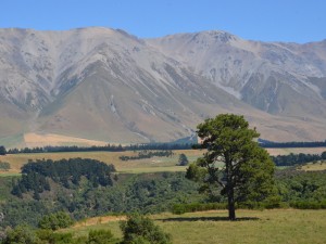 Im Winter beliebtes Ski-Gebiet: Mt. Hutt