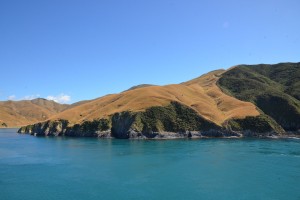 Türkises Wasser in den Marlborough Sounds