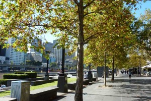 SB_MelbourneCBD_-(46)