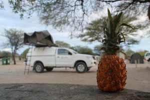 TravelWorks-Namibia-Ananas