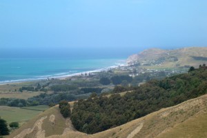 nz_TW_hs_tpg_Havelock-North-(18)