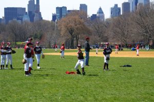 New-York-Baseball