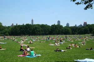 new-york-central-park