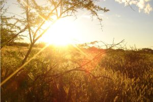 Suedafrika Nationalpark