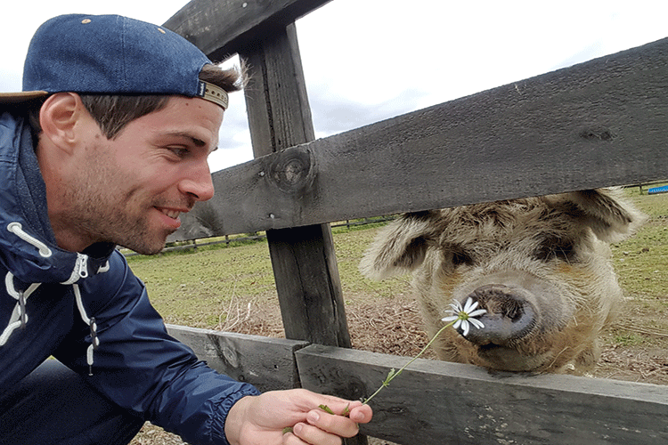 Neue Freunde im Tongariro Nationalpark finden.