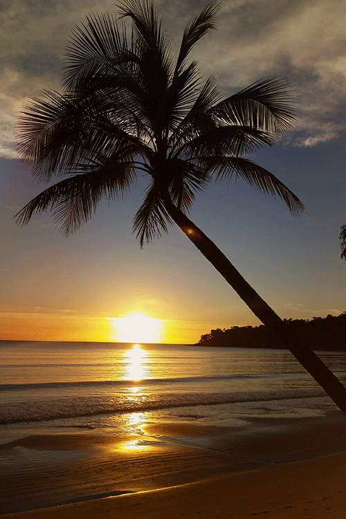 Sonnenaufang in Kewarra Beach.