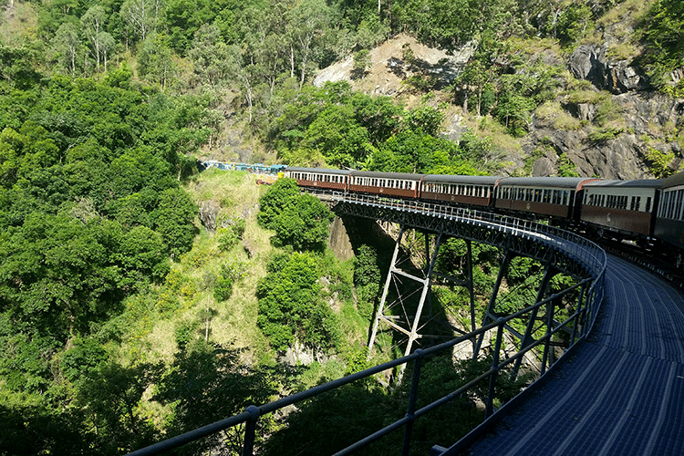 Zugfahrt durch den Regenwald nach Kurunda.