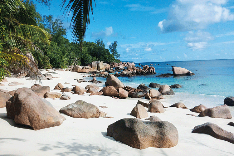 Schönster Strand zum Turtle-Tracking mit zahlreichen Steinen.