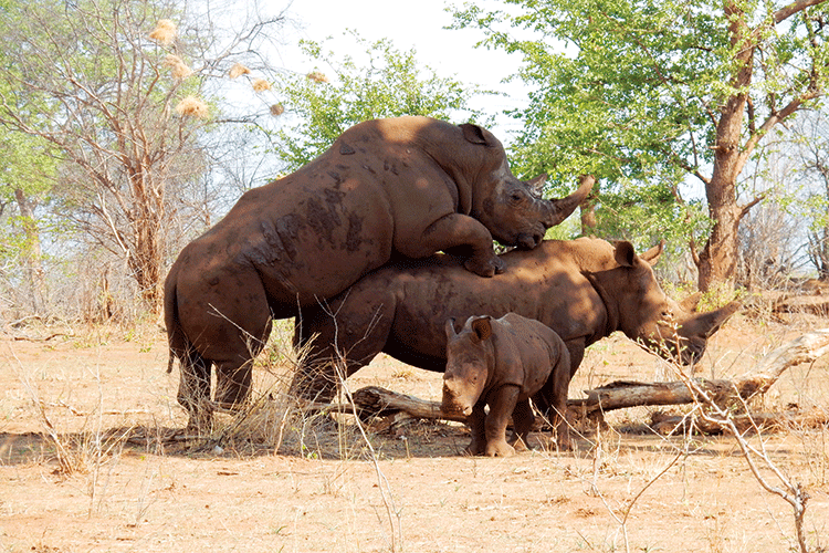 Mosi-o-tunya Nationalpark