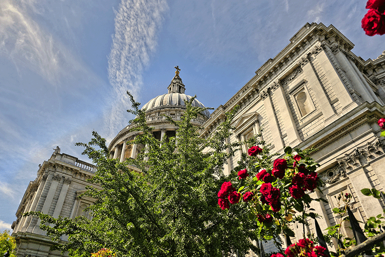 St. Pauls Cathedral