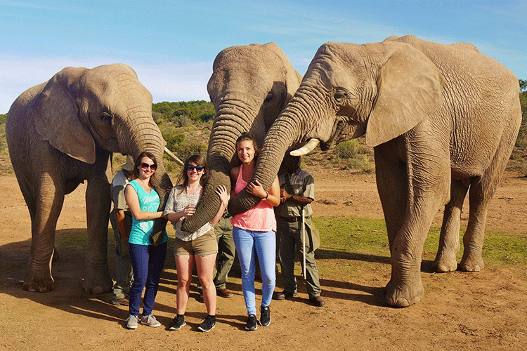 Neue Freunde bei einer Safari entdeckt - tierisch und menschlich.