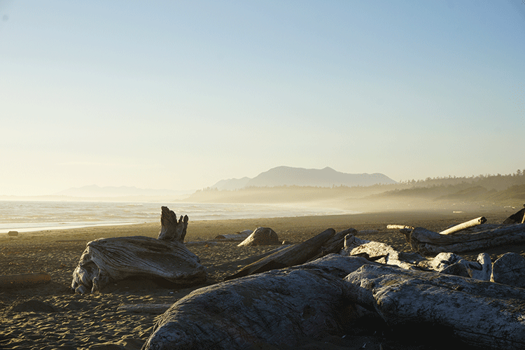 Das Ende meines Auslandsjahres in Kanada vebrachte ich in Tofino, dem Surferörtchen mit wunderschönen Stränden.