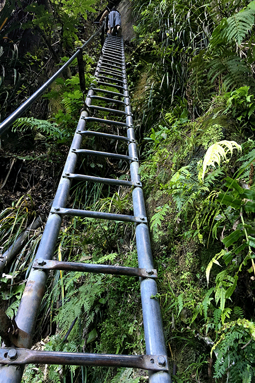 Way to Omanawa Falls.