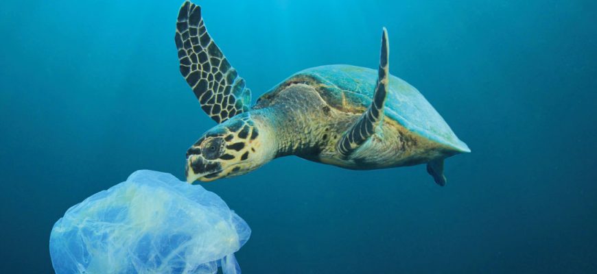 EIN MEER AUS PLASTIK - Stehen unsere Ozeane vor dem Kollaps