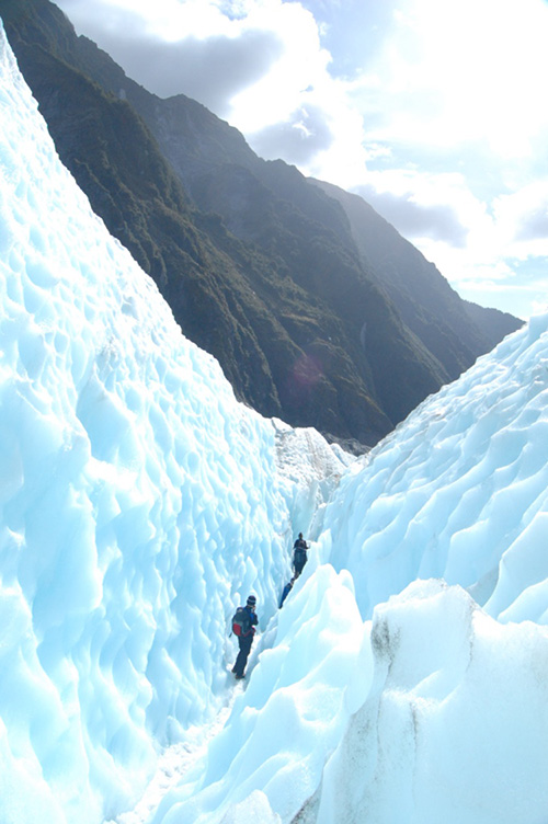 Fox Glacier in Neuseeland