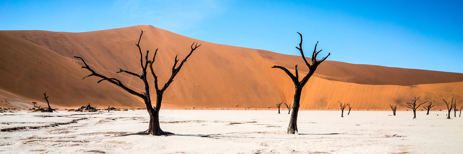 Unternimm an deinen freien Wochenenden Ausflüge mit anderen Volontären und entdecke atemberaubende Naturschauspiele, wie die Namib-Wüste.