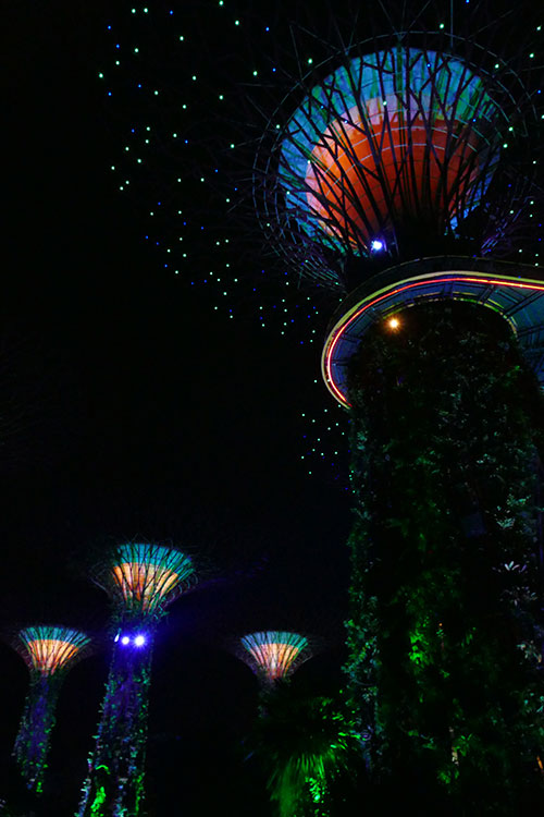 Die beleuchteten Supertrees im Gardens of the Bay