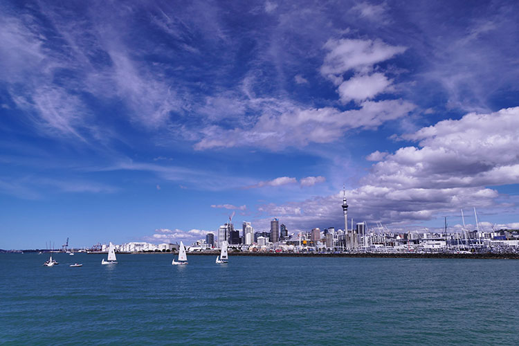 Panoramablick auf Auckland