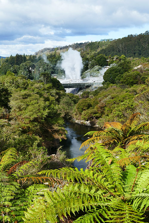 Die heißen Quellen rund um Rotorua wollte sich Vivien nicht entgehen lassen. 