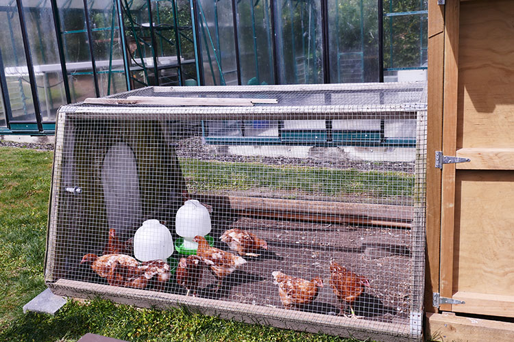 Viele High Schools verfügen über eine eigene Schulfarm.