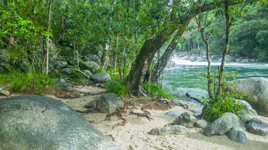 Cape Tribulation